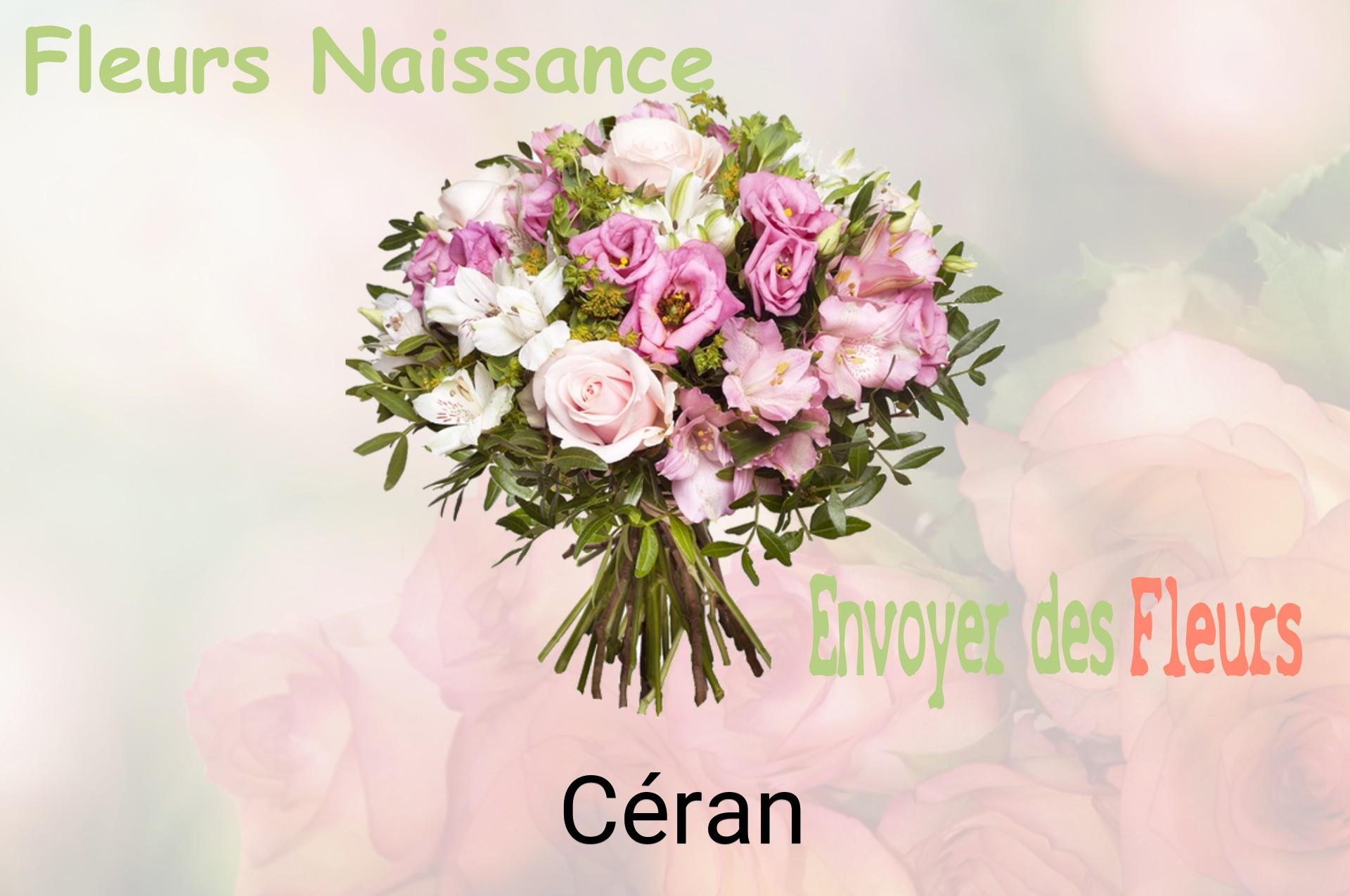 Bouquet de fleurs de naissance livré à Céran